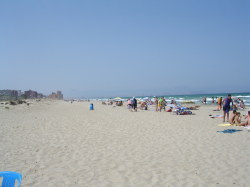 Carabassi