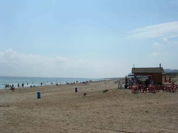 playa carabassi 2005